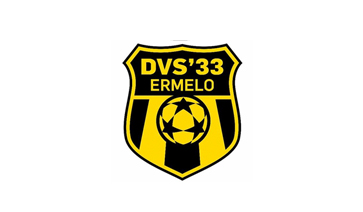 dvs-33